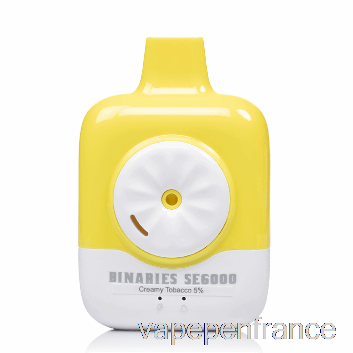 Horizon Binaires Se6000 Stylo Vape De Tabac Crémeux Jetable
